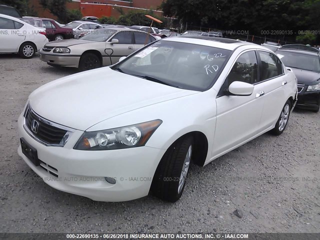 1HGCP3F80AA023251 - 2010 HONDA ACCORD EXL WHITE photo 2