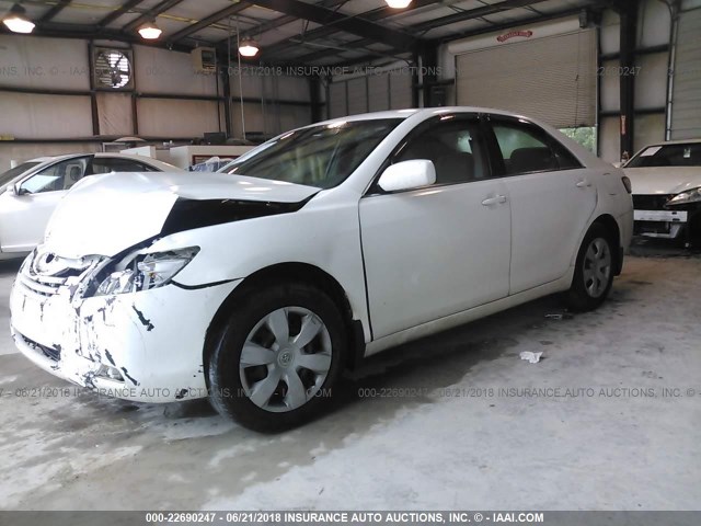4T1BE46K88U776953 - 2008 TOYOTA CAMRY CE/LE/XLE/SE WHITE photo 2