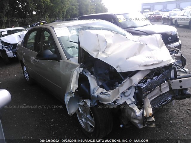 1G1ZT54805F134161 - 2005 CHEVROLET MALIBU LS ოქროსფერი ფოტო 1