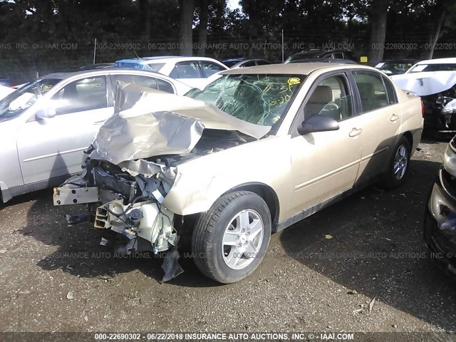 1G1ZT54805F134161 - 2005 CHEVROLET MALIBU LS ოქროსფერი ფოტო 2