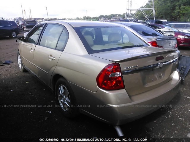 1G1ZT54805F134161 - 2005 CHEVROLET MALIBU LS ოქროსფერი ფოტო 3