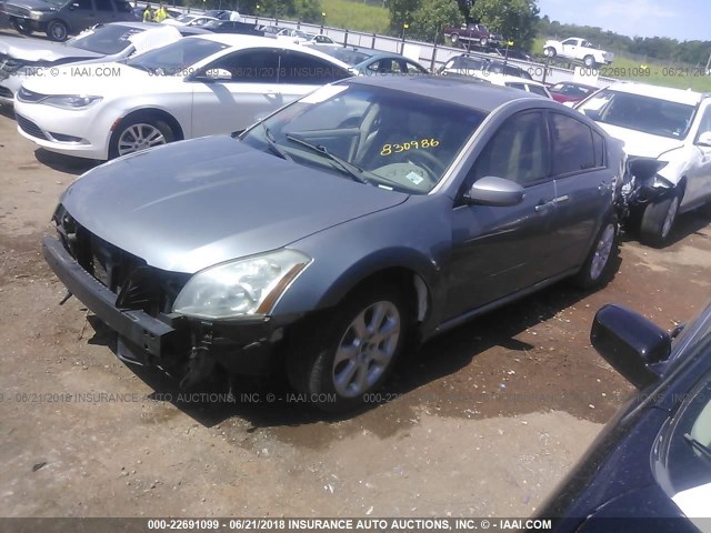 1N4BA41E47C830986 - 2007 NISSAN MAXIMA SE/SL GRAY photo 2