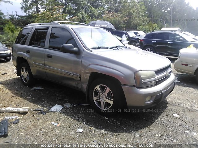 1GNDT13SX32322429 - 2003 CHEVROLET TRAILBLAZER  GRAY photo 1