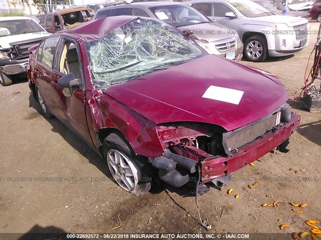 1G1ZT54865F121575 - 2005 CHEVROLET MALIBU LS 栗色 照片 1