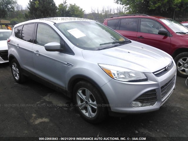 1FMCU0GX1EUC93861 - 2014 FORD ESCAPE SE SILVER photo 1