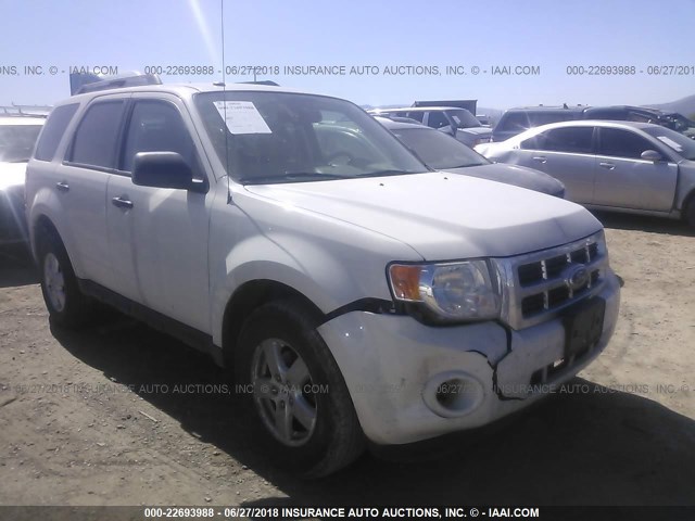 1FMCU9D77CKC56332 - 2012 FORD ESCAPE XLT WHITE photo 1