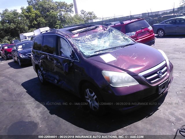 5FNRL38757B044542 - 2007 HONDA ODYSSEY EXL BURGUNDY photo 1