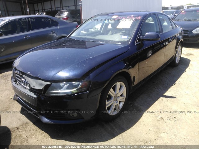 WAUAFAFL3BN025519 - 2011 AUDI A4 PREMIUM Navy photo 2