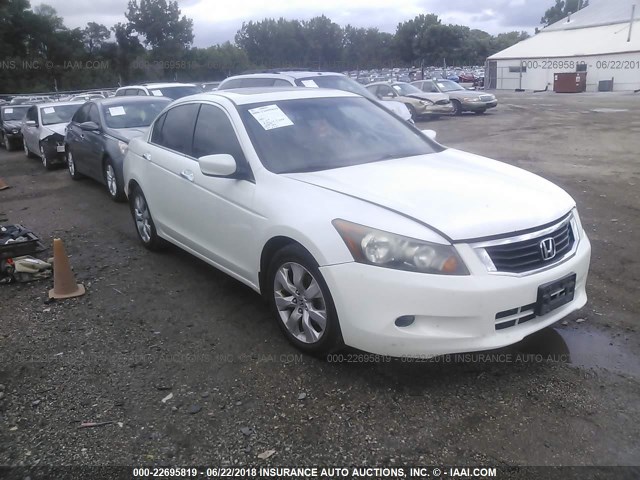 1HGCP36878A048643 - 2008 HONDA ACCORD EXL WHITE photo 1