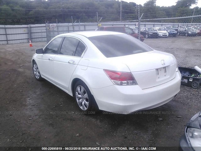 1HGCP36878A048643 - 2008 HONDA ACCORD EXL WHITE photo 3