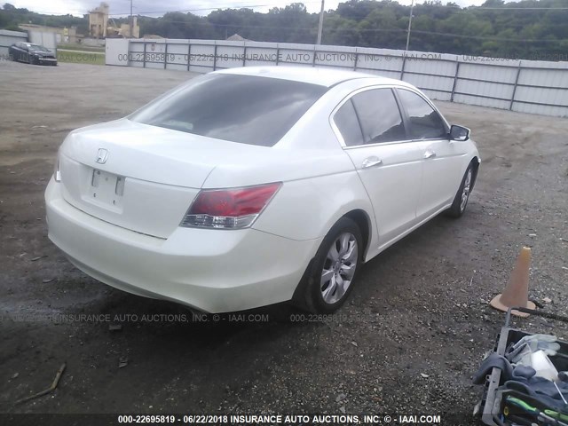 1HGCP36878A048643 - 2008 HONDA ACCORD EXL WHITE photo 4