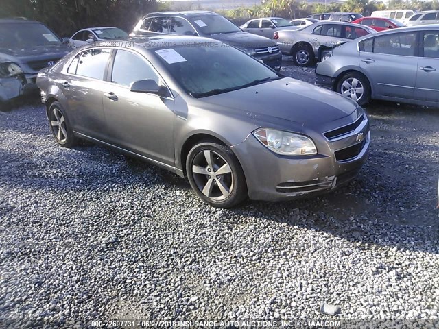 1G1ZC5E13BF114631 - 2011 CHEVROLET MALIBU 1LT GRAY photo 1