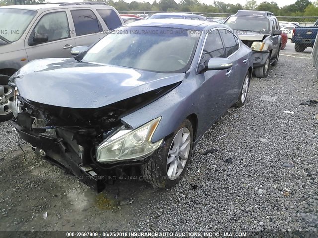 1N4AA5AP9BC822295 - 2011 NISSAN MAXIMA S/SV BLUE photo 2