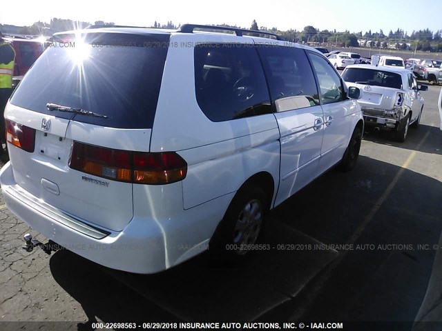 2HKRL18022H556972 - 2002 HONDA ODYSSEY EXL WHITE photo 4