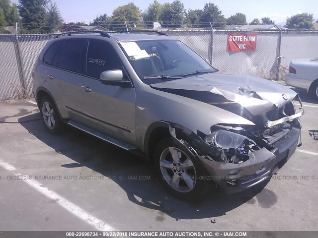 5UXFE43579L268502 - 2009 BMW X5 XDRIVE30I Շամպայն լուսանկար 1
