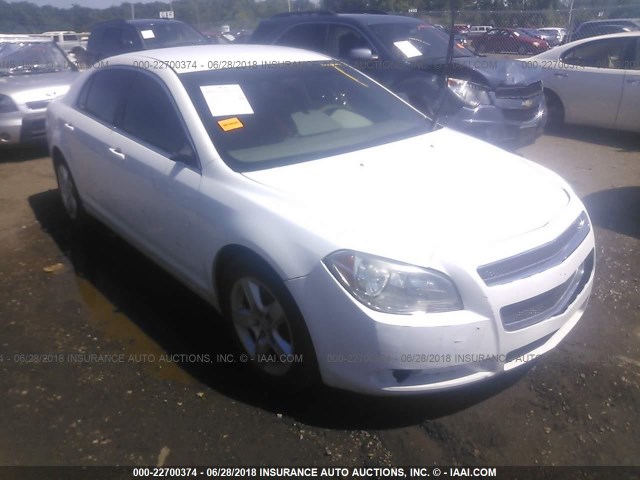 1G1ZA5E03AF231430 - 2010 CHEVROLET MALIBU LS 白色 照片 1