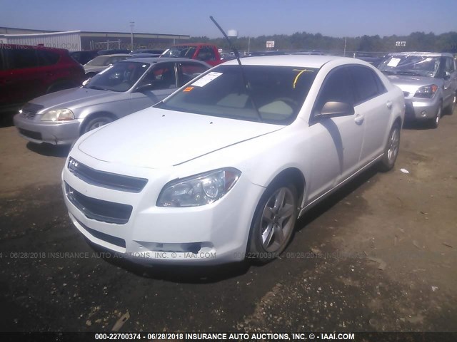 1G1ZA5E03AF231430 - 2010 CHEVROLET MALIBU LS 白色 照片 2