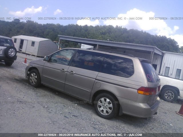 5FNRL18973B155884 - 2003 HONDA ODYSSEY EXL GOLD photo 3