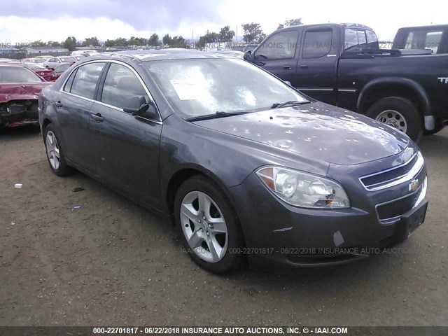 1G1ZB5EB7A4163384 - 2010 CHEVROLET MALIBU LS Boz foto 1