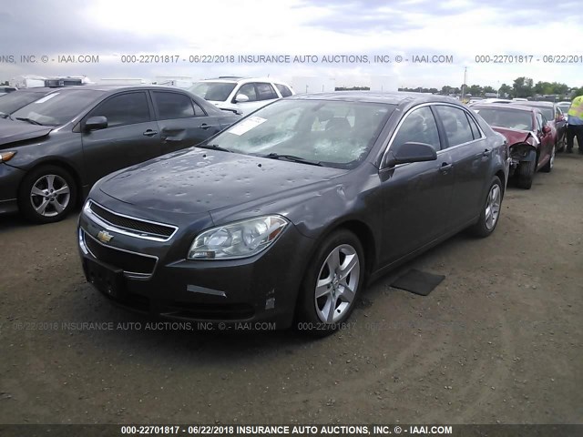 1G1ZB5EB7A4163384 - 2010 CHEVROLET MALIBU LS Boz foto 2