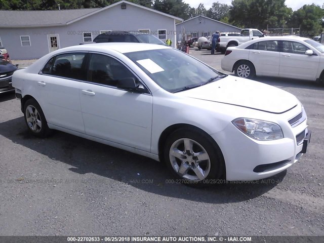 1G1ZB5E03CF228303 - 2012 CHEVROLET MALIBU LS Ağ foto 1