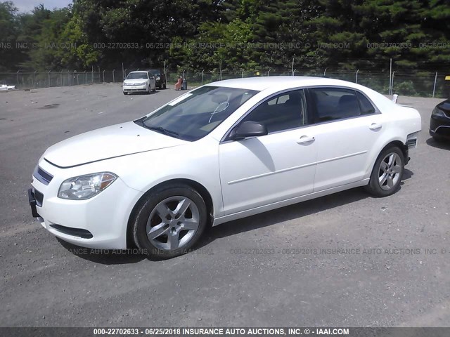 1G1ZB5E03CF228303 - 2012 CHEVROLET MALIBU LS Ağ foto 2