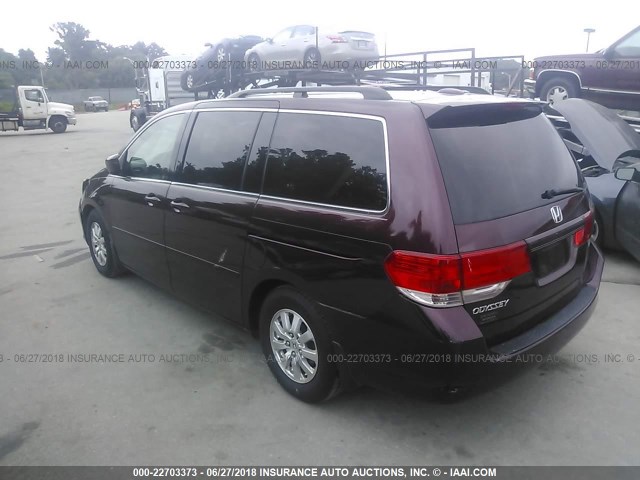 5FNRL38669B019854 - 2009 HONDA ODYSSEY EXL RED photo 3