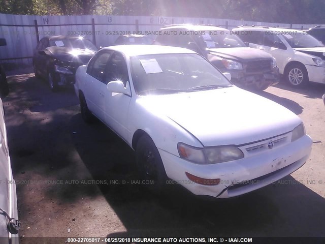 1NXBB02EBTZ402420 - 1996 TOYOTA COROLLA DX WHITE photo 1