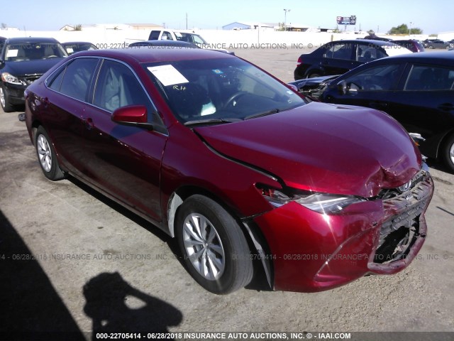 4T1BF1FKXGU605146 - 2016 TOYOTA CAMRY LE/XLE/SE/XSE MAROON photo 1