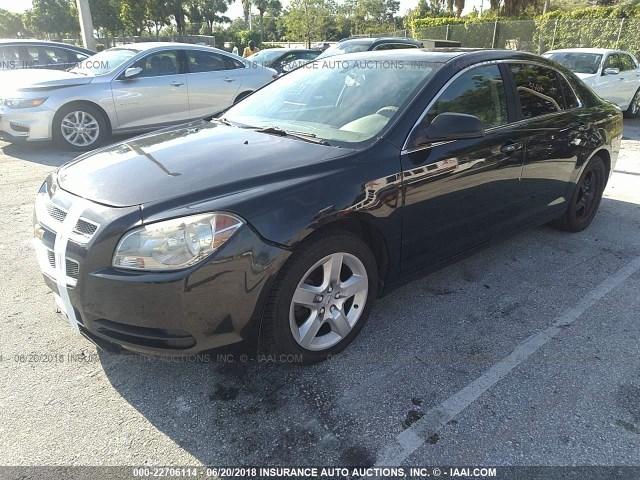 1G1ZB5EB3AF275460 - 2010 CHEVROLET MALIBU LS 黑色 照片 2
