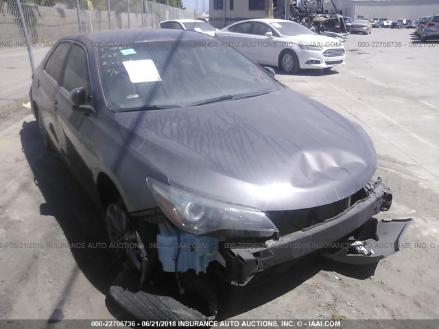 4T1BF1FK0GU174137 - 2016 TOYOTA CAMRY LE/XLE/SE/XSE GRAY photo 1