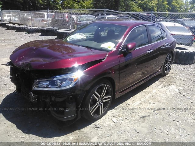 1HGCR2F59GA016348 - 2016 HONDA ACCORD SPORT MAROON photo 2