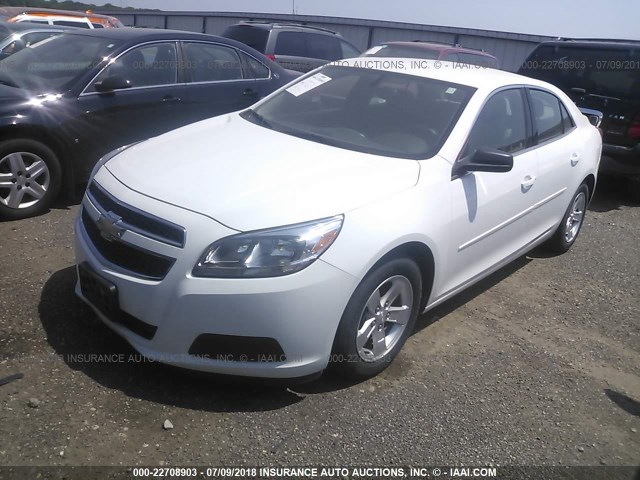 1G11B5SA6DF165550 - 2013 CHEVROLET MALIBU LS თეთრი ფოტო 2