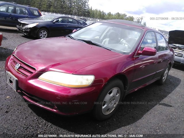 1HGCG16511A800725 - 2001 HONDA ACCORD EX მუქწითელი ფოტო 2
