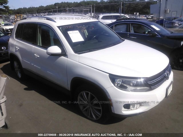 WVGBV3AX0DW620739 - 2013 VOLKSWAGEN TIGUAN S/SE/SEL WHITE photo 1