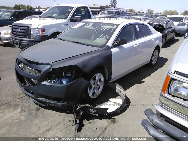 1G1ZA5EU2CF265073 - 2012 CHEVROLET MALIBU LS თეთრი ფოტო 2