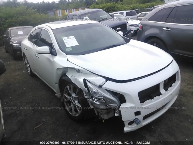 1N4AA5AP0DC833818 - 2013 NISSAN MAXIMA S/SV WHITE photo 1