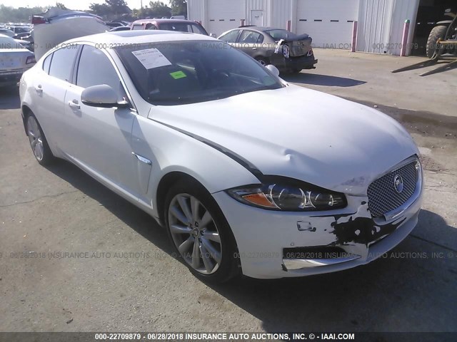 SAJWA0ES6DPS65375 - 2013 JAGUAR XF WHITE photo 1