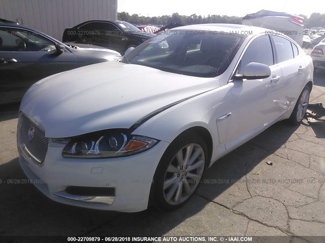 SAJWA0ES6DPS65375 - 2013 JAGUAR XF WHITE photo 2