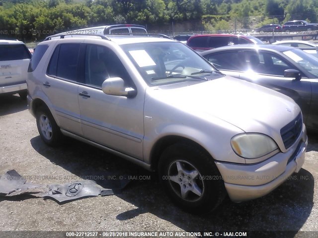 4JGAB54E31A269232 - 2001 MERCEDES-BENZ ML 320 Champagne photo 1