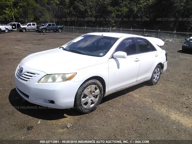4T1BE46K99U798543 - 2009 TOYOTA CAMRY SE/LE/XLE WHITE photo 2