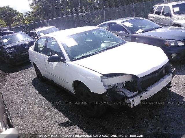 1G1ZT52825F103254 - 2005 CHEVROLET MALIBU LS თეთრი ფოტო 1