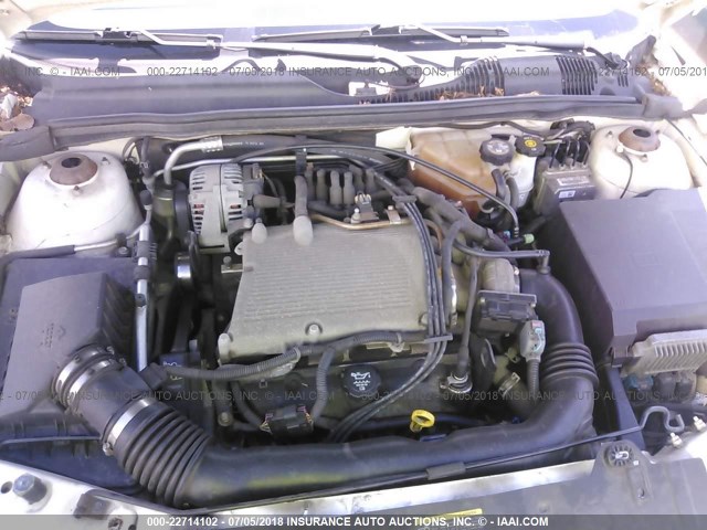1G1ZT52825F103254 - 2005 CHEVROLET MALIBU LS თეთრი ფოტო 10