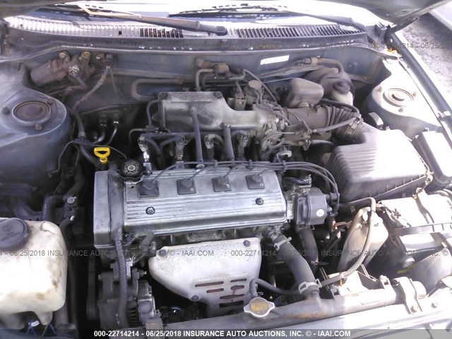 2T1AE09B4SC134108 - 1995 TOYOTA COROLLA LE/DX 绿色 照片 10