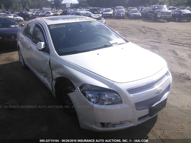 1G1ZE5E73BF380276 - 2011 CHEVROLET MALIBU LTZ თეთრი ფოტო 1