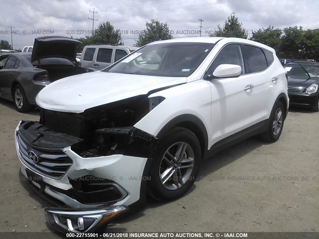 5XYZT3LB7JG559540 - 2018 HYUNDAI SANTA FE SPORT  WHITE photo 2