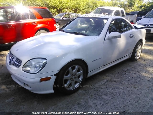 WDBKK49F01F212783 - 2001 MERCEDES-BENZ SLK 230 KOMPRESSOR WHITE photo 2