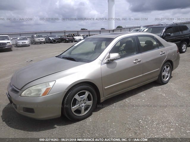 JHMCN36456C003170 - 2006 HONDA ACCORD HYBRID GOLD photo 2