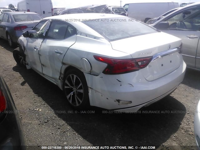 1N4AA6AP6HC365699 - 2017 NISSAN MAXIMA 3.5S/SV/SL/SR/PLAT WHITE photo 3