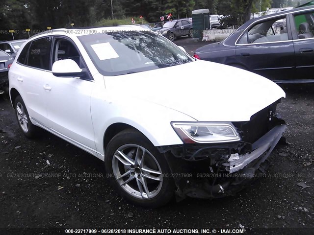 WA1LFAFP5DA004786 - 2013 AUDI Q5 PREMIUM PLUS WHITE photo 1